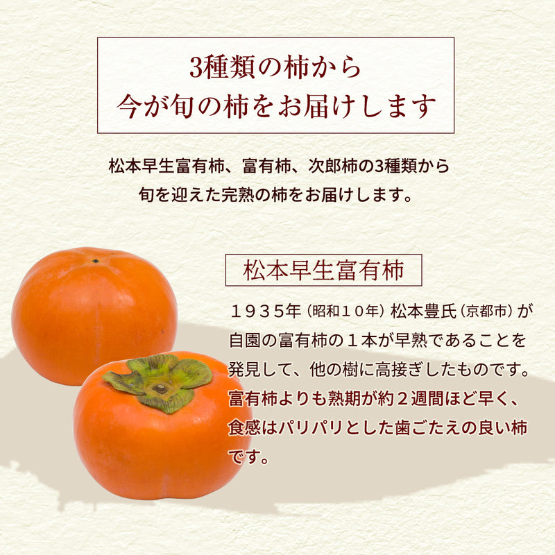 柿 甘柿 【成田柿園】 やさとの柿 富有柿・次郎柿等  3.5kg 2L 14個 茨城県石岡市《11/上旬～11/中旬より出荷》