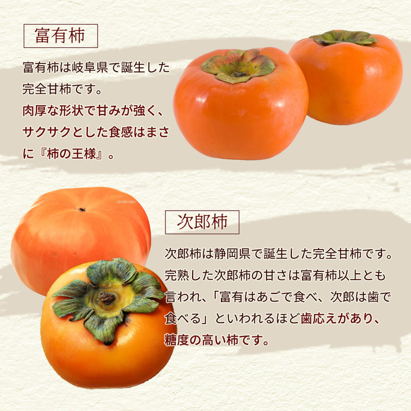 柿 甘柿 【成田柿園】 やさとの柿 富有柿・次郎柿等  3.5kg 2L 14個 茨城県石岡市《11/上旬～11/中旬より出荷》