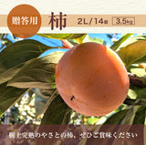 柿 甘柿 【成田柿園】 やさとの柿 富有柿・次郎柿等  3.5kg 2L 14個 茨城県石岡市《11/上旬～11/中旬より出荷》