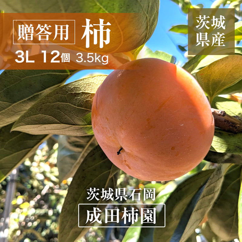 柿 甘柿 【成田柿園】 やさとの柿 富有柿・次郎柿等  3.5kg 3L 12個 茨城県石岡市《11/上旬～11/中旬より出荷》