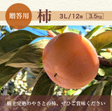 柿 甘柿 【成田柿園】 やさとの柿 富有柿・次郎柿等  3.5kg 3L 12個 茨城県石岡市《11/上旬～11/中旬より出荷》