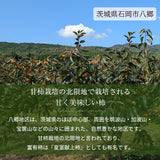 柿 甘柿 【成田柿園】 やさとの柿 富有柿・次郎柿等 家庭用 約3.5kg 12～16個 茨城県石岡市《11/上旬～11/中旬より出荷》