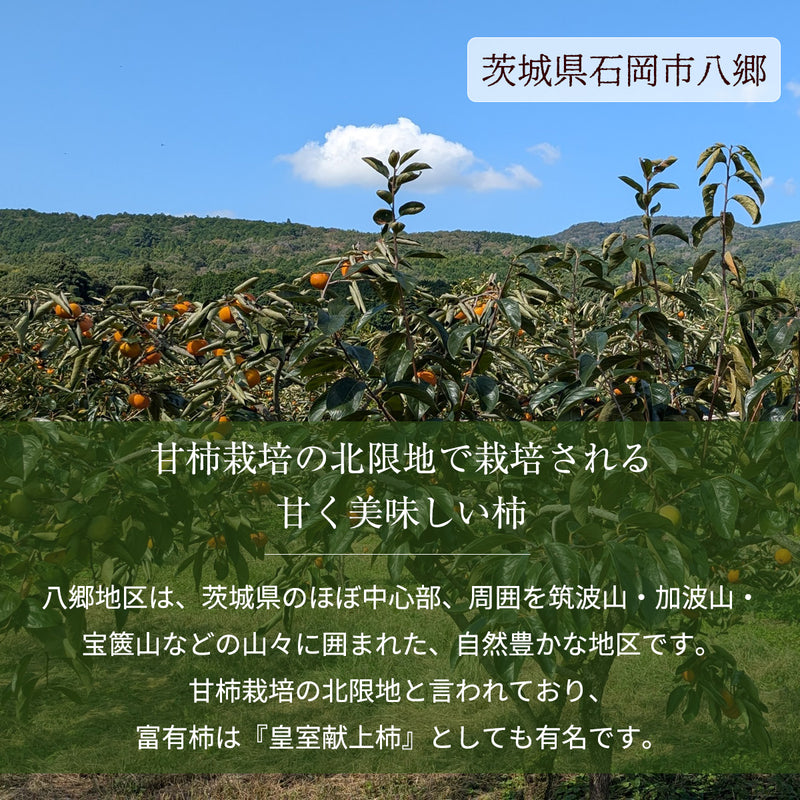柿 甘柿 【成田柿園】 やさとの柿 富有柿・次郎柿等 家庭用 約3.5kg 12～16個 茨城県石岡市《11/上旬～11/中旬より出荷》
