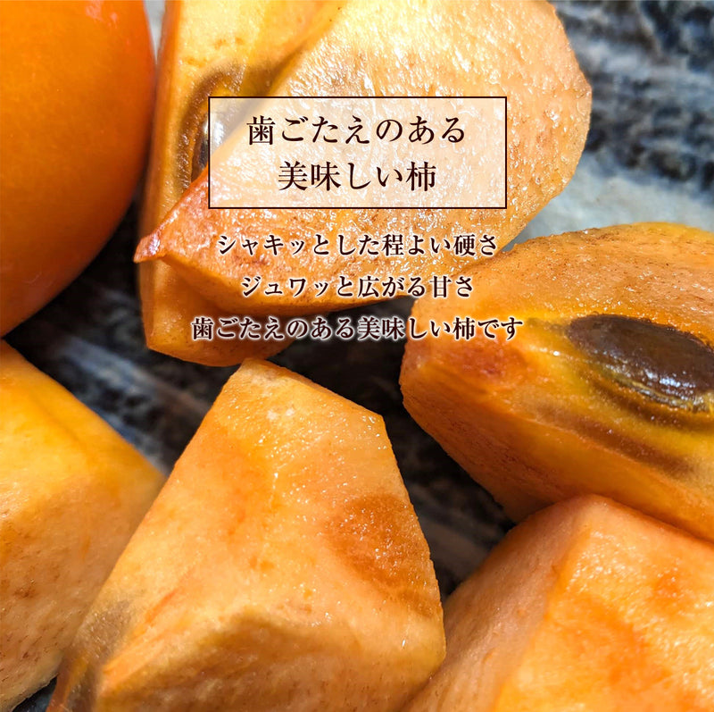 柿 甘柿 【成田柿園】 やさとの柿 富有柿・次郎柿等 家庭用 約3.5kg 12～16個 茨城県石岡市《11/上旬～11/中旬より出荷》