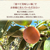 柿 甘柿 【成田柿園】 やさとの柿 富有柿・次郎柿等 家庭用 約3.5kg 12～16個 茨城県石岡市《11/上旬～11/中旬より出荷》