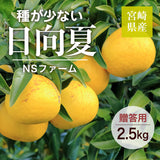 柑橘 【NSファーム】 日向夏 直径7～10㎝ 贈答用 12～15玉 2.5kg 宮崎県宮崎市 《3/上旬～3/中旬より出荷》