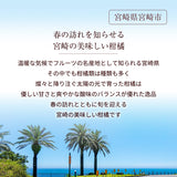 柑橘 【NSファーム】 日向夏 直径7～10㎝ 贈答用 12～15玉 2.5kg 宮崎県宮崎市 《3/上旬～3/中旬より出荷》