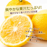 柑橘 【NSファーム】 日向夏 直径7～10㎝ 贈答用 12～15玉 2.5kg 宮崎県宮崎市 《3/上旬～3/中旬より出荷》