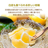 柑橘 【NSファーム】 日向夏 直径7～10㎝ 贈答用 12～15玉 2.5kg 宮崎県宮崎市 《3/上旬～3/中旬より出荷》
