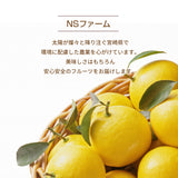 柑橘 【NSファーム】 日向夏 直径7～10㎝ 贈答用 12～15玉 2.5kg 宮崎県宮崎市 《3/上旬～3/中旬より出荷》