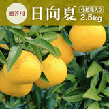柑橘 【NSファーム】 日向夏 直径7～10㎝ 贈答用 12～15玉 2.5kg 宮崎県宮崎市 《3/上旬～3/中旬より出荷》