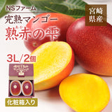 マンゴー 【NSファーム】 完熟マンゴー 糖度15度 ブランドマンゴー 熟赤の雫 3L 2個 880g 贈答用 宮崎県宮崎市《6/下～7/上より出荷》