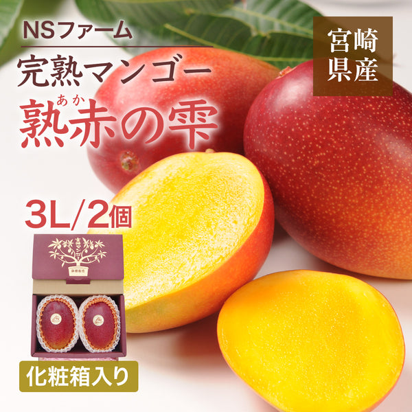 マンゴー 【NSファーム】 完熟マンゴー 糖度15度 ブランドマンゴー 熟赤の雫 3L 2個 880g 贈答用 宮崎県宮崎市《6/下～7/上より出荷》