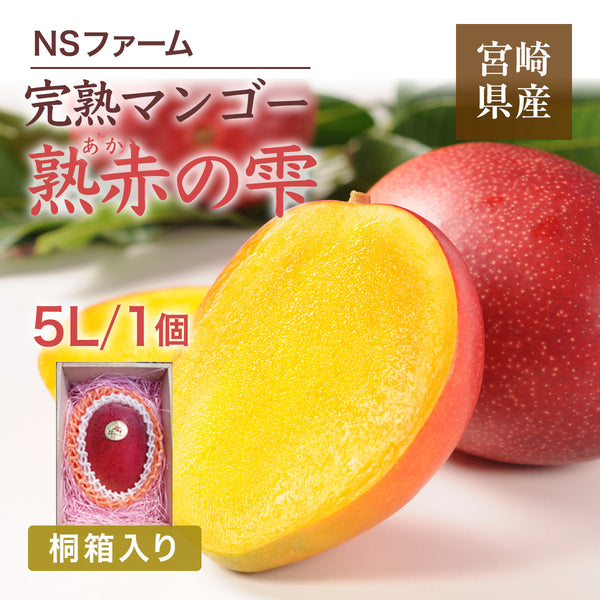 マンゴー 【NSファーム】 完熟マンゴー 糖度15度 ブランドマンゴー 熟赤の雫 特大 5L 1個 500g以上 桐箱 宮崎県宮崎市 《6/下～7/上より出荷》