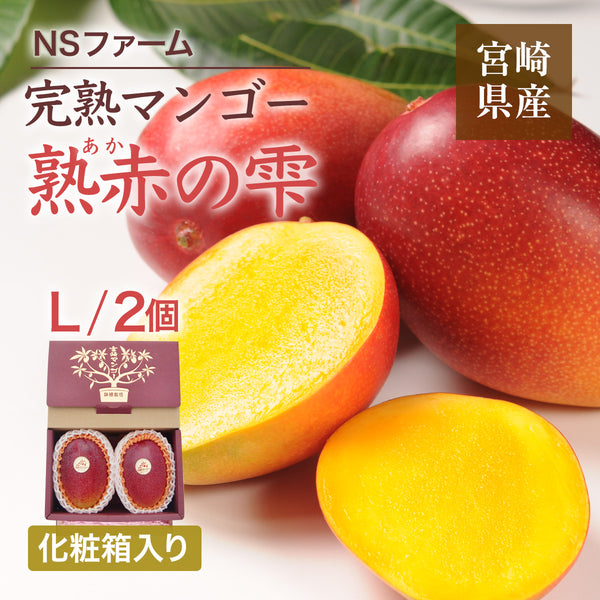 マンゴー 【NSファーム】 完熟マンゴー 糖度15度 ブランドマンゴー 熟赤の雫 L 2個 680g 贈答用 宮崎県宮崎市《6/下～7/上より出荷》