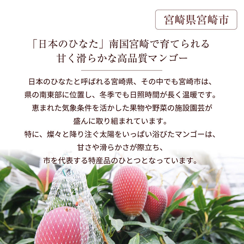 マンゴー 【NSファーム】 完熟マンゴー 糖度15度 ブランドマンゴー 熟赤の雫 3L 2個 880g 贈答用 宮崎県宮崎市《6/下～7/上より出荷》