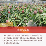 マンゴー 【NSファーム】 完熟マンゴー 糖度15度 ブランドマンゴー 熟赤の雫 M 2個 580g 贈答用 宮崎県宮崎市《6/下～7/上より出荷》