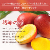 マンゴー 【NSファーム】 完熟マンゴー 糖度15度 ブランドマンゴー 熟赤の雫 3L 2個 880g 贈答用 宮崎県宮崎市《6/下～7/上より出荷》