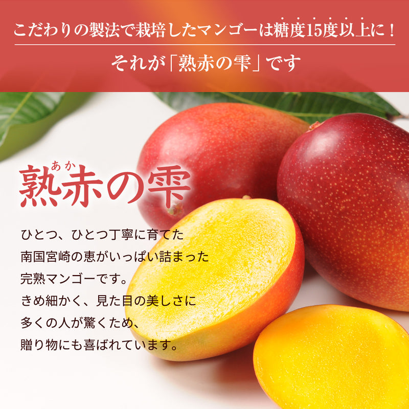 マンゴー 【NSファーム】 完熟マンゴー 糖度15度 ブランドマンゴー 熟赤の雫 M 2個 580g 贈答用 宮崎県宮崎市《6/下～7/上より出荷》