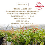 マンゴー 【NSファーム】 完熟マンゴー 糖度15度 ブランドマンゴー 熟赤の雫 M 2個 580g 贈答用 宮崎県宮崎市《6/下～7/上より出荷》
