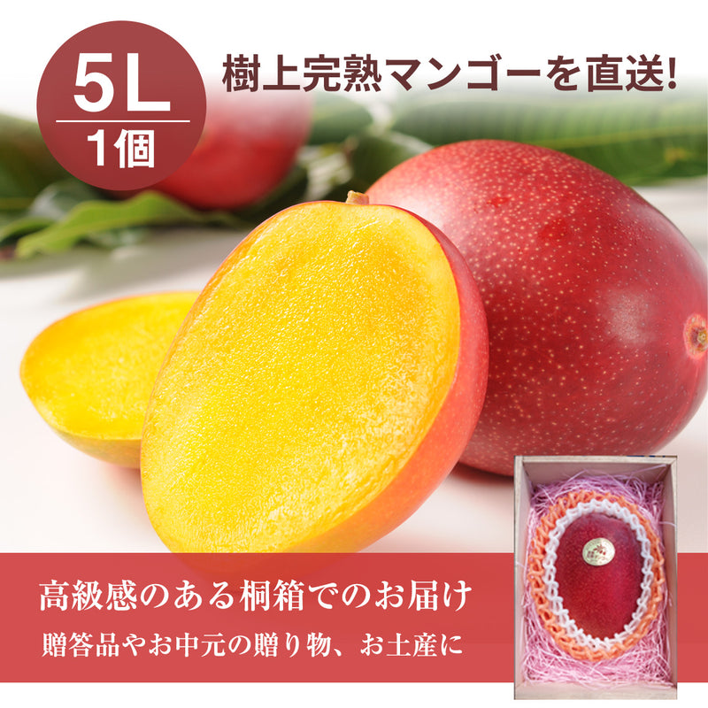 マンゴー 【NSファーム】 完熟マンゴー 糖度15度 ブランドマンゴー 熟赤の雫 特大 5L 1個 500g以上 桐箱 宮崎県宮崎市 《6/下～7/上より出荷》