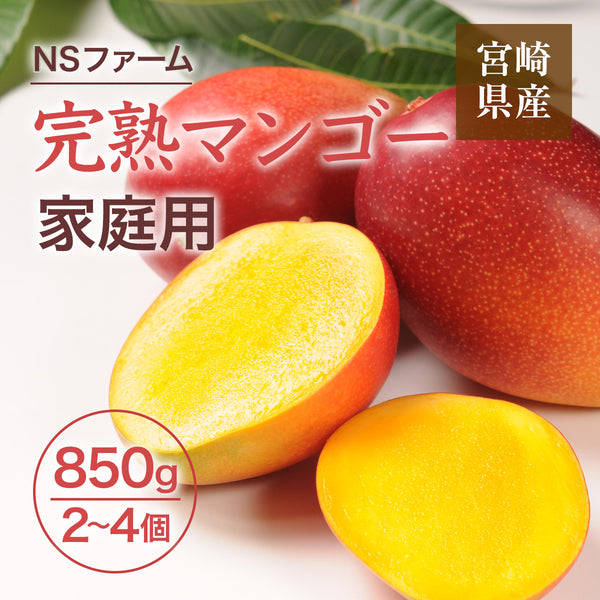 マンゴー 【NSファーム】 完熟マンゴー 850g 2～4個 家庭用 宮崎県宮崎市《6/下～7/上より出荷》