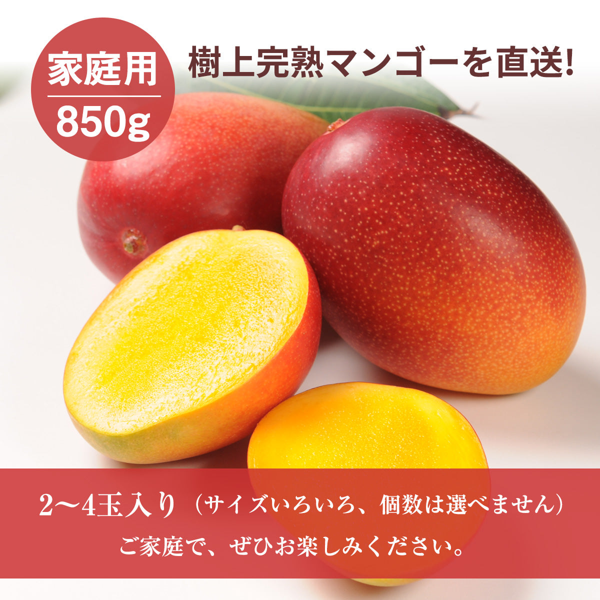 マンゴー 【NSファーム】 完熟マンゴー 850g 2～4個 家庭用 宮崎県宮崎