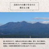 米 【大島カルチファーム】 とちぎの星 玄米30㎏ 白米精米可能 令和7年産 《2025年10/中旬より出荷》
