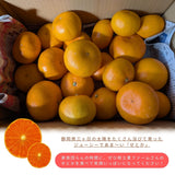 柑橘  【柑土里ファーム】 せとか 3.5kg センサー 静岡県三ケ日 不知火《3/上旬～3/中旬より出荷》