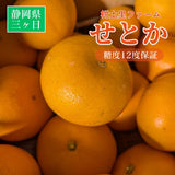 日本限定 柑橘 【柑土里ファーム】 静岡県三ケ日 センサー 3.5kg せとか 果物