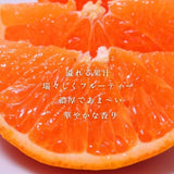 柑橘  【柑土里ファーム】 せとか 3.5kg センサー 静岡県三ケ日 不知火《3/上旬～3/中旬より出荷》
