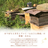 柑橘  【柑土里ファーム】 せとか 3.5kg センサー 静岡県三ケ日 不知火《3/上旬～3/中旬より出荷》