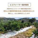 柑橘  【柑土里ファーム】 せとか 3.5kg センサー 静岡県三ケ日 不知火《3/上旬～3/中旬より出荷》