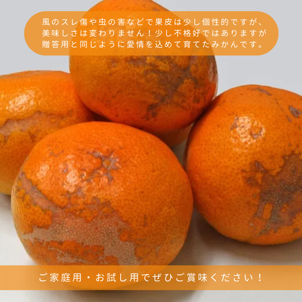 ミカンページ みかん 【高石垣ファーム】 有田みかん 家庭用 まろやか甘味みかん