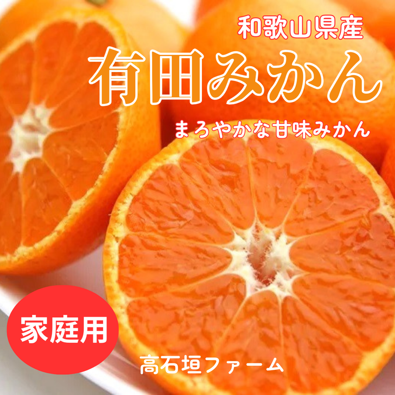 みかん 【高石垣ファーム】 有田みかん 家庭用 まろやか甘味みかん サイズ不揃い 4.5キロ 和歌山県有田川町 《11/中旬～11/下旬より出荷開始》