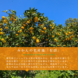 みかん 【高石垣ファーム】 有田みかん 家庭用 まろやか甘味みかん サイズ不揃い 4.5キロ 和歌山県有田川町 《11/中旬～11/下旬より出荷開始》
