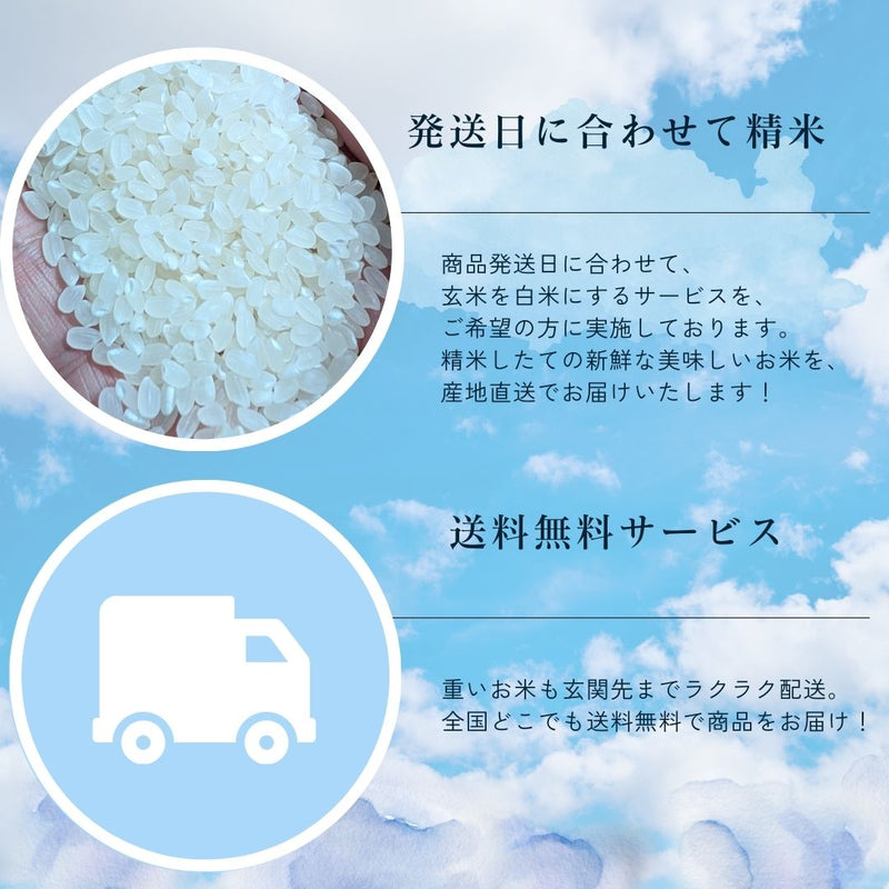 米 【エムズアグリ】 にじのきらめき 虹の煌めき 白米 3kg 福島県須賀川市 令和6年産