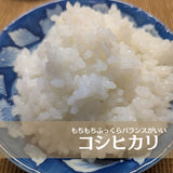 米 【入方ファーム】 こしひかり 玄米 10kg 白米9㎏ 可能 福島県白河市