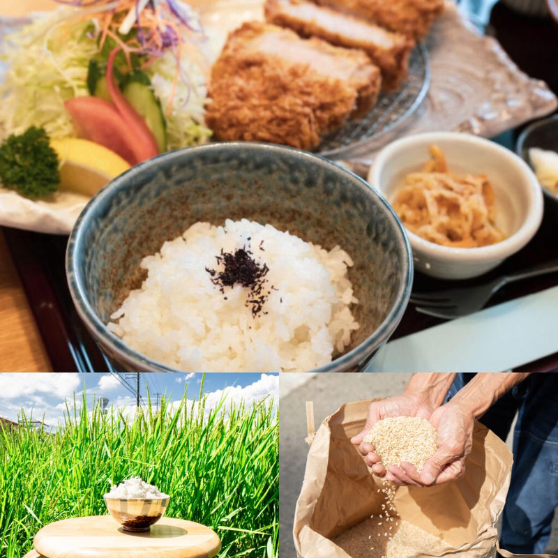 米 【入方ファーム】 こしひかり 玄米 10kg 白米9㎏ 可能 福島県白河市