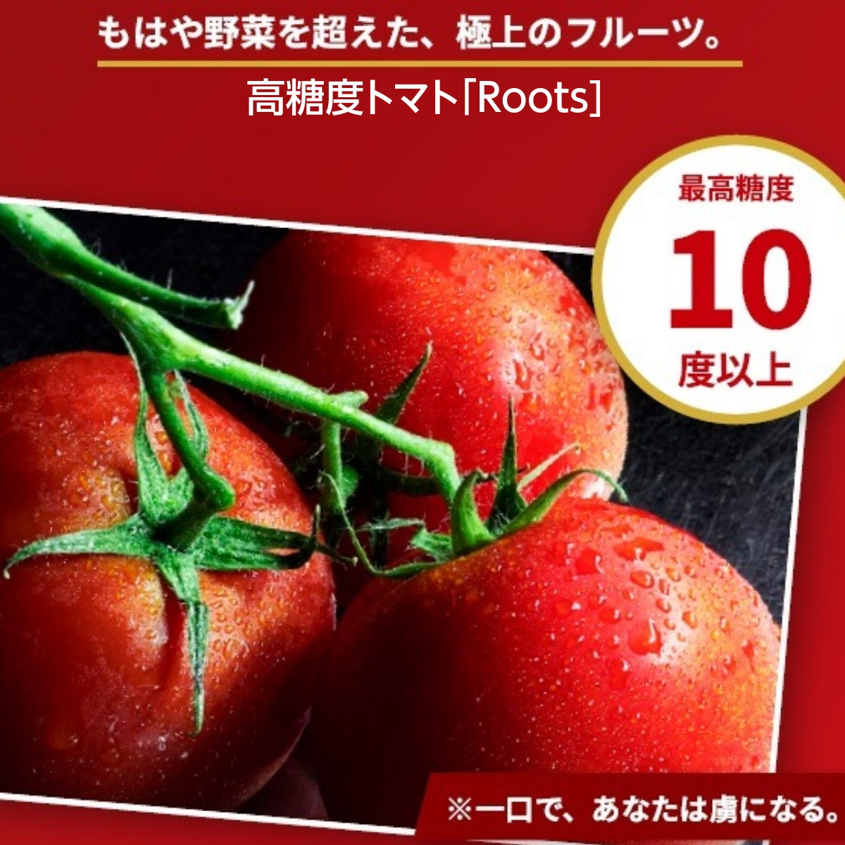 トマト 【ルーツ】 高糖度 フルーツトマト 糖度10度以上 1200g (150g
