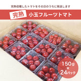トマト 【ルーツ】 高糖度 フルーツトマト 糖度10度以上 業務用 3600g (150g×24P) 静岡県袋井市