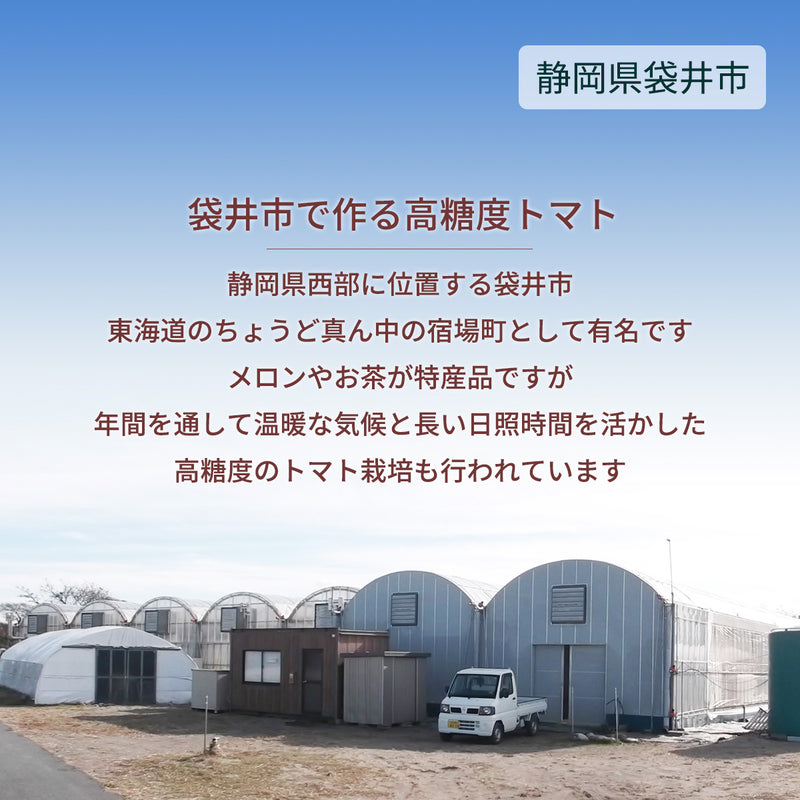 トマト 【ルーツ】 高糖度 フルーツトマト 糖度10度以上 1200g (150g×8P) 静岡県袋井市