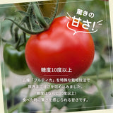トマト 【ルーツ】 高糖度 フルーツトマト 糖度10度以上 1200g (150g×8P) 静岡県袋井市