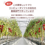 トマト 【ルーツ】 高糖度 フルーツトマト 糖度10度以上 1200g (150g×8P) 静岡県袋井市