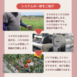 トマト 【ルーツ】 高糖度 フルーツトマト 糖度10度以上 1200g (150g×8P) 静岡県袋井市