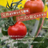 トマト 【ルーツ】 高糖度 フルーツトマト 糖度10度以上 1200g (150g×8P) 静岡県袋井市
