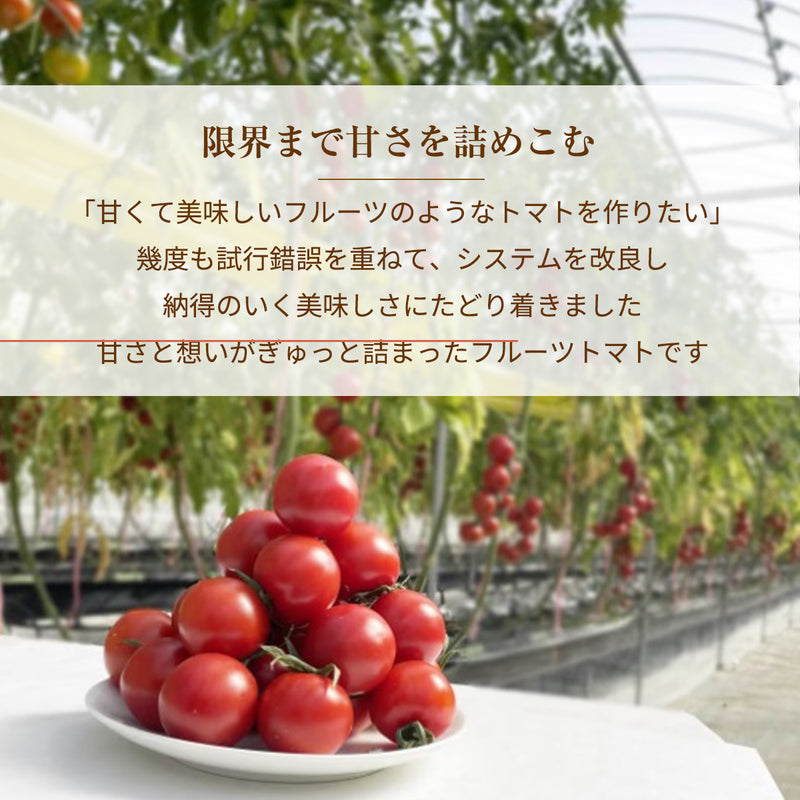 トマト 【ルーツ】 高糖度 フルーツトマト 糖度10度以上 1200g (150g×8P) 静岡県袋井市