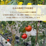 トマト 【ルーツ】 高糖度 フルーツトマト 糖度10度以上 1200g (150g×8P) 静岡県袋井市
