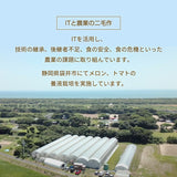 トマト 【ルーツ】 高糖度 フルーツトマト 糖度10度以上 1200g (150g×8P) 静岡県袋井市