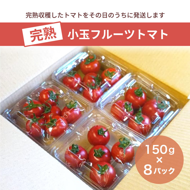 トマト 【ルーツ】 高糖度 フルーツトマト 糖度10度以上 1200g (150g×8P) 静岡県袋井市